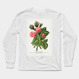 Pink roses, Crested Moss Lithograph (1900) Long Sleeve T-Shirt